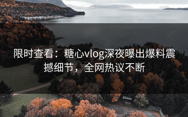限时查看：糖心vlog深夜曝出爆料震撼细节，全网热议不断