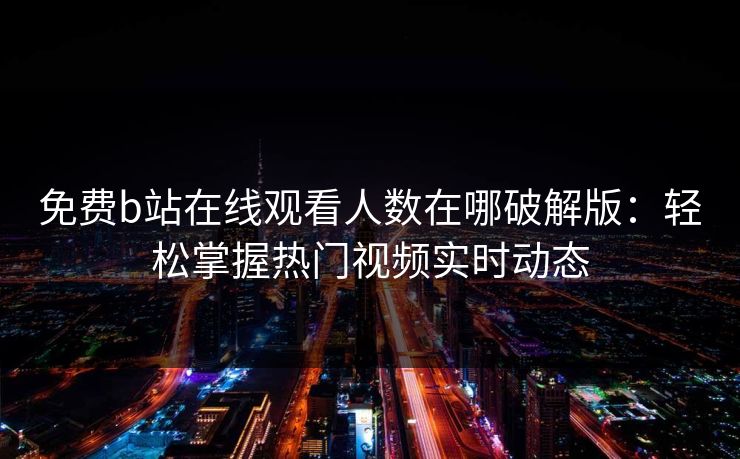 免费b站在线观看人数在哪破解版：轻松掌握热门视频实时动态