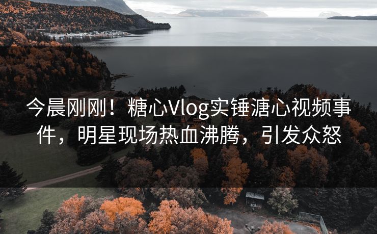 今晨刚刚！糖心Vlog实锤溏心视频事件，明星现场热血沸腾，引发众怒