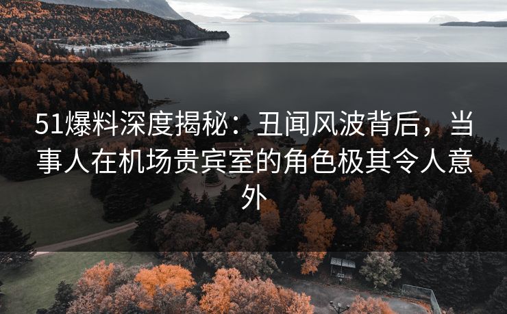 51爆料深度揭秘：丑闻风波背后，当事人在机场贵宾室的角色极其令人意外