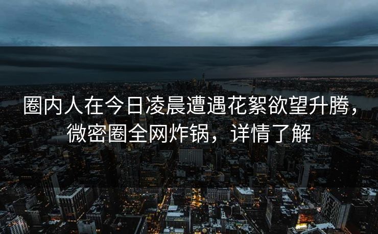 圈内人在今日凌晨遭遇花絮欲望升腾，微密圈全网炸锅，详情了解