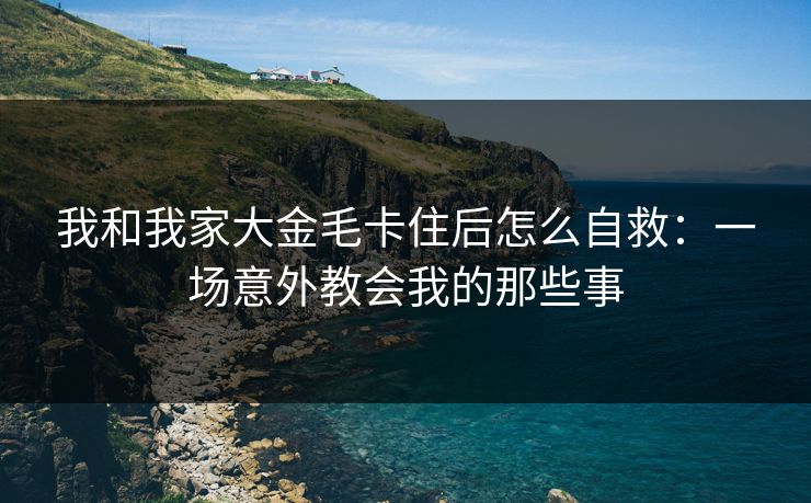 我和我家大金毛卡住后怎么自救:一场意外教会我的那些事 我和我家大金毛卡住后怎么自救:一场意外教会我的那些事