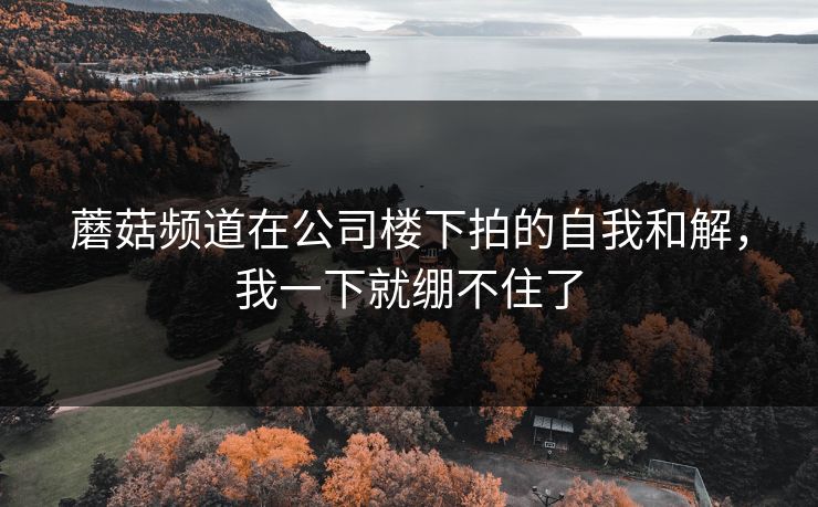 蘑菇频道在公司楼下拍的自我和解，我一下就绷不住了