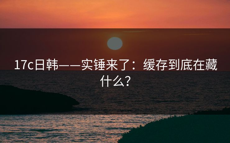 17c日韩——实锤来了：缓存到底在藏什么？